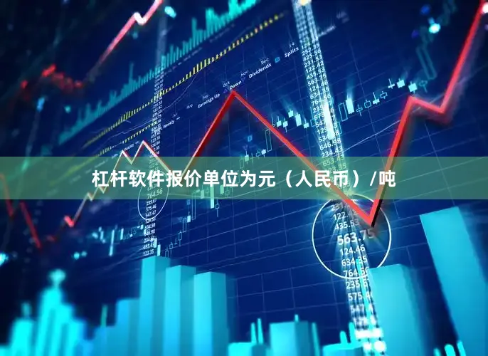 杠杆软件报价单位为元（人民币）/吨