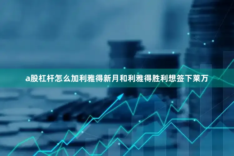 a股杠杆怎么加利雅得新月和利雅得胜利想签下莱万